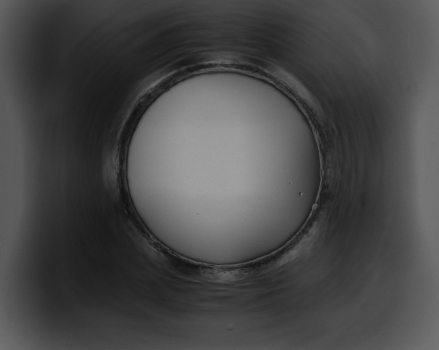 X0000099990831200806061542