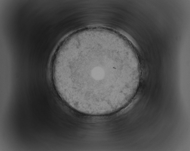 X0000099990832200806061542