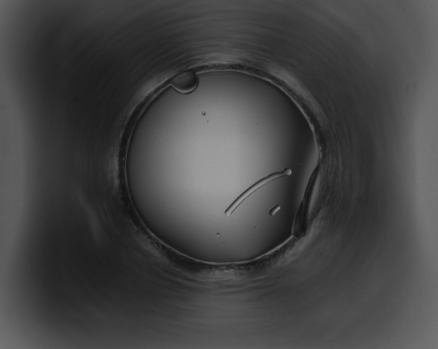 X0000099990834200806061542