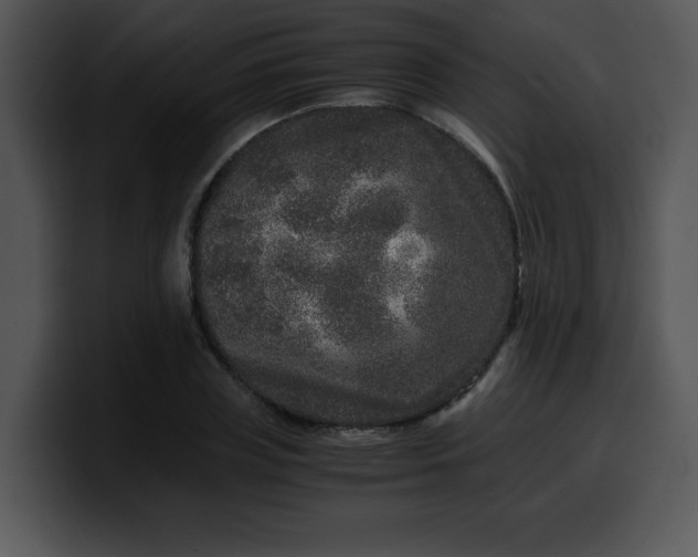 X0000099990835200806061542