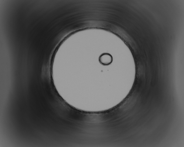 X0000099990836200806061542