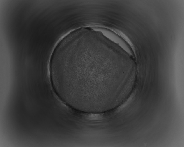 X0000099990839200806061543