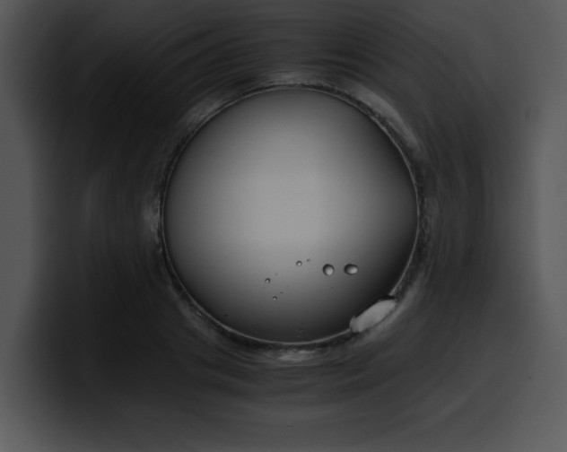 X0000099990841200806061543