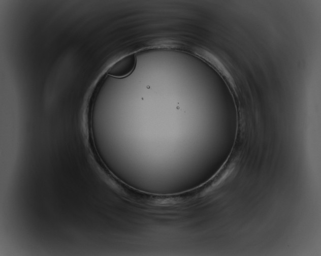 X0000099990843200806061543