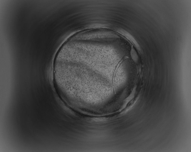 X0000099990844200806061543