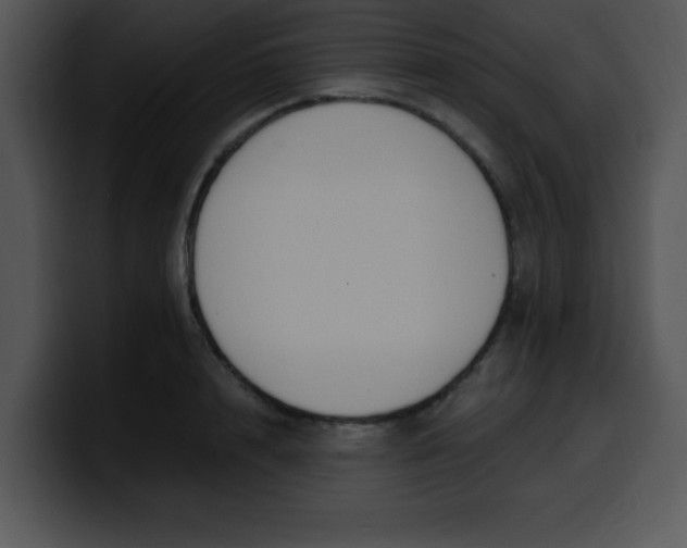 X0000099990848200806061543