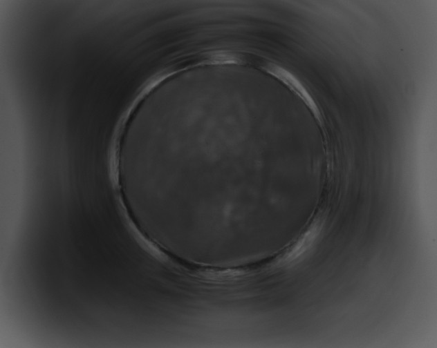 X0000099990851200806061543