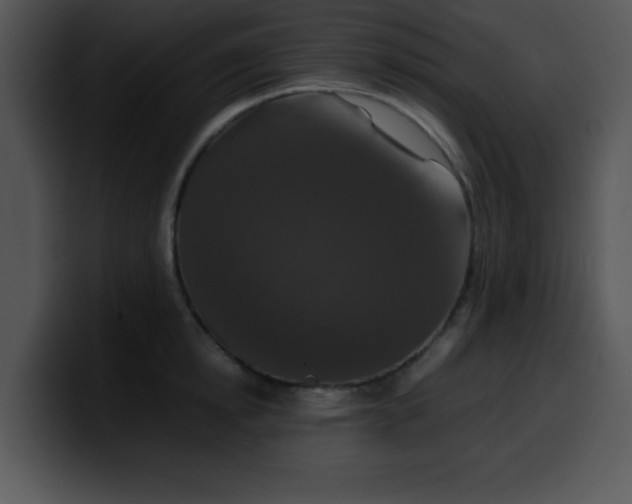 X0000099990854200806061543