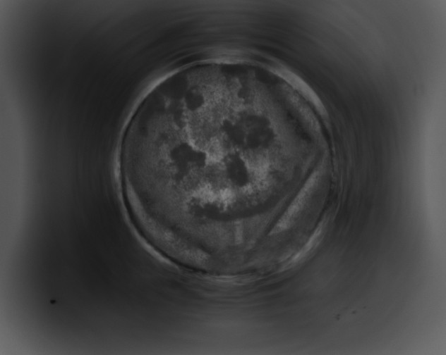 X0000099990855200806061543