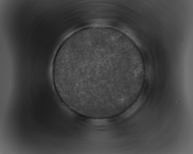 X0000099990856200806061543