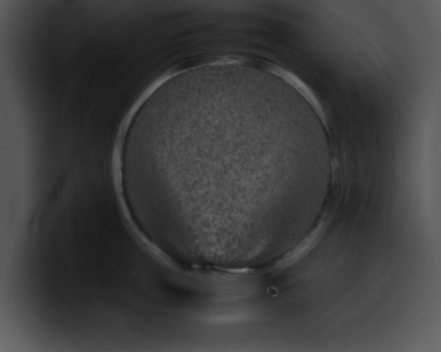 X0000099990859200806061543