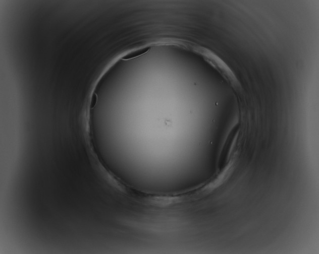 X0000099990860200806061543