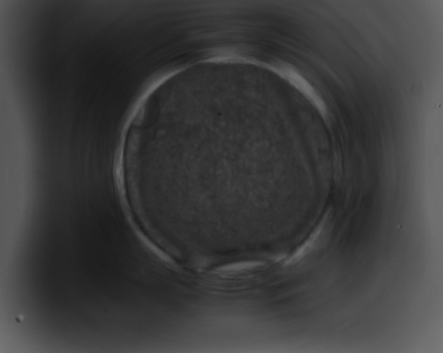 X0000099990863200806061543