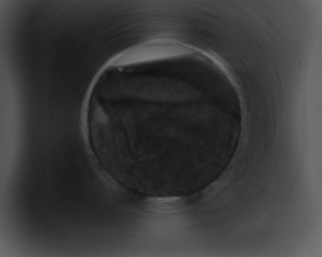 X0000099990864200806061543