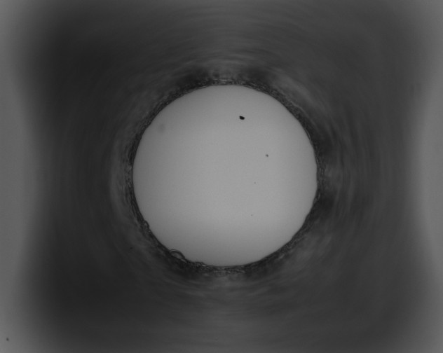 X0000099990865200806061542