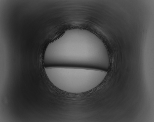 X0000099990868200806061542