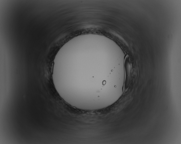 X0000099990869200806061542