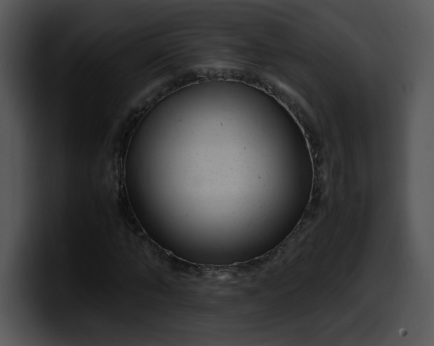 X0000099990870200806061542