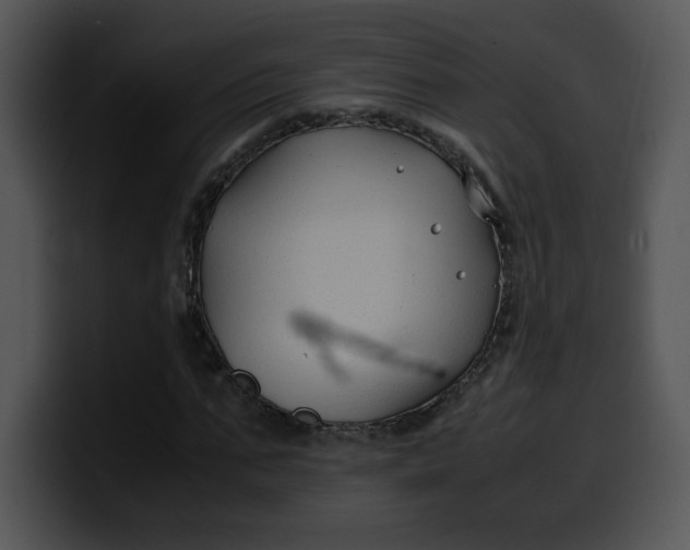 X0000099990871200806061542