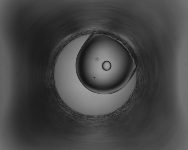 X0000099990872200806061542