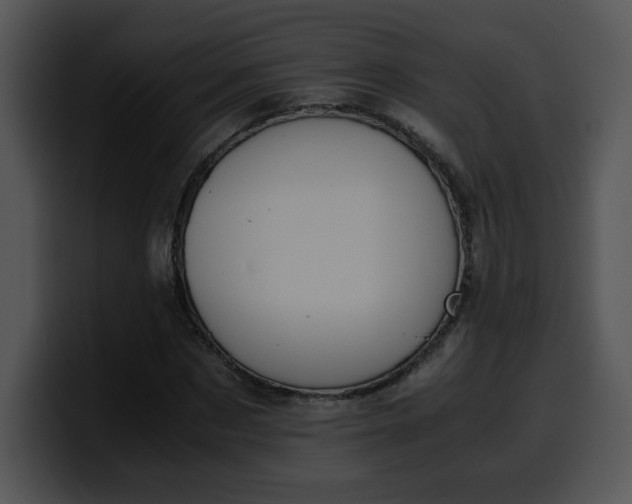 X0000099990873200806061542