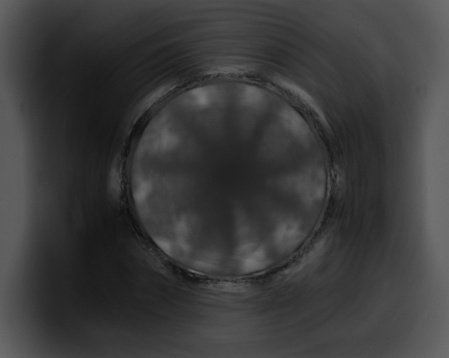 X0000099990874200806061542