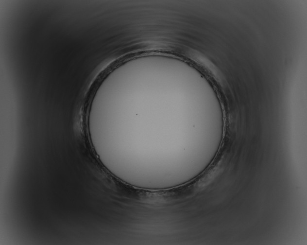 X0000099990875200806061542