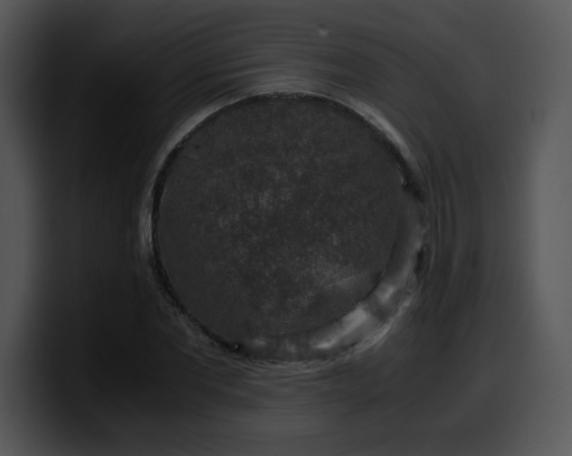 X0000099990877200806061542