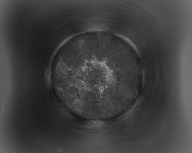 X0000099990878200806061542