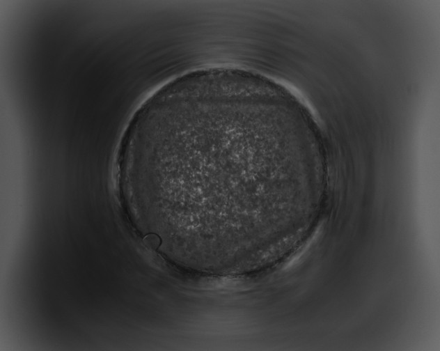 X0000099990879200806061542