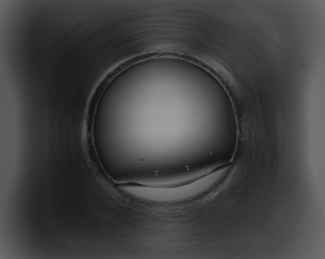 X0000099990880200806061542