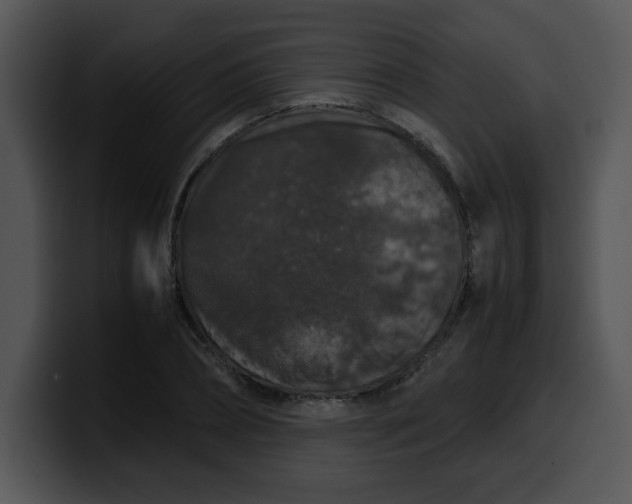 X0000099990882200806061542