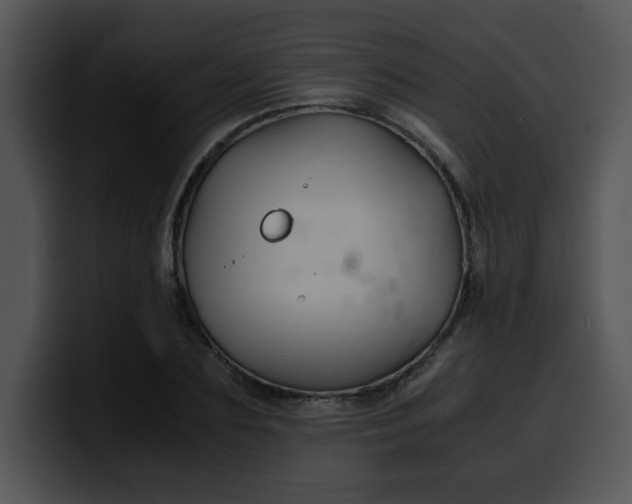 X0000099990883200806061542