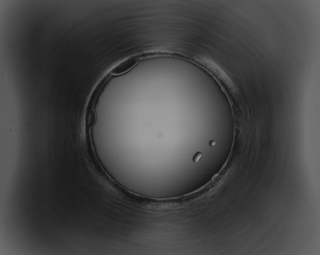 X0000099990884200806061542