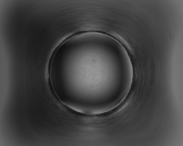 X0000099990885200806061542