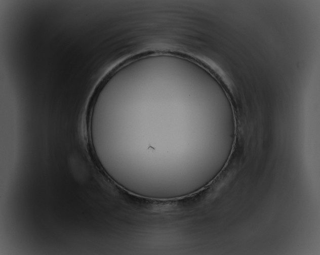 X0000099990887200806061542