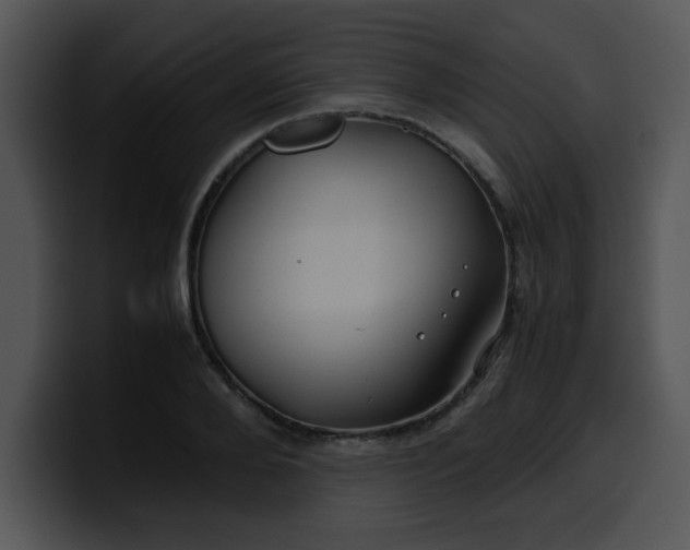 X0000099990888200806061542