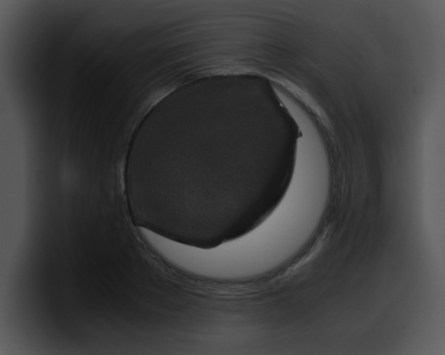 X0000099990889200806061542