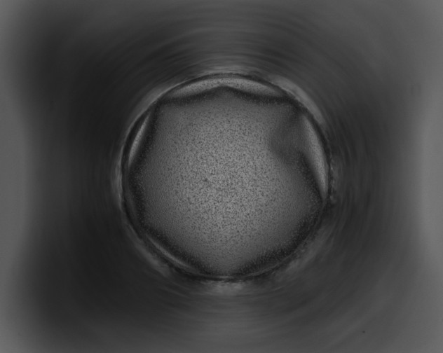 X0000099990890200806061542