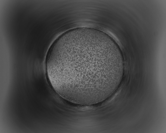 X0000099990891200806061542