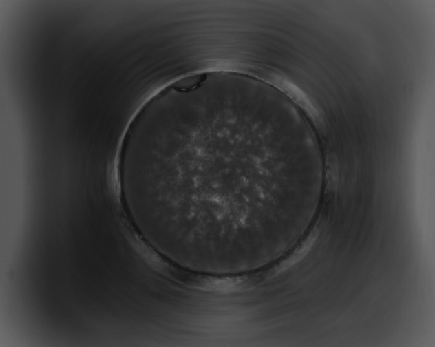 X0000099990892200806061542