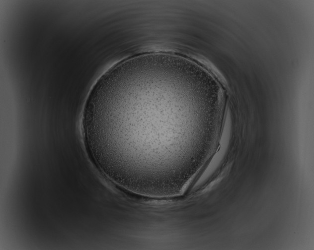 X0000099990893200806061542