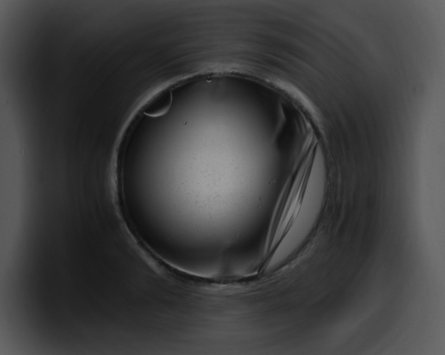 X0000099990894200806061542