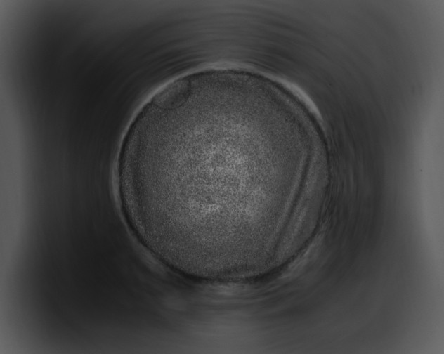 X0000099990895200806061542