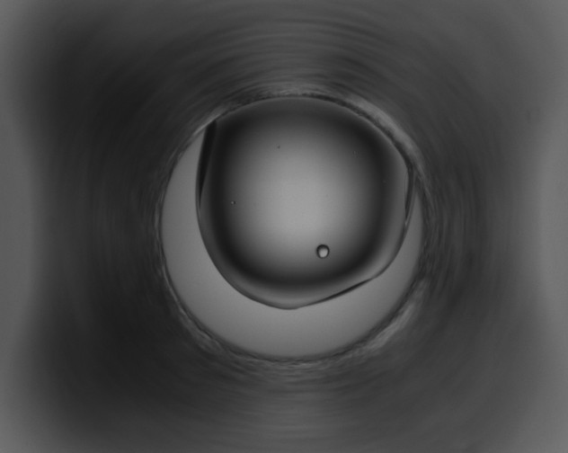 X0000099990897200806061542