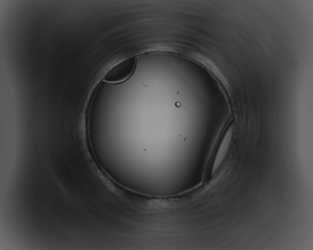 X0000099990898200806061542