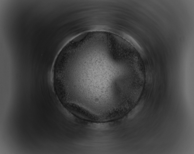 X0000099990900200806061542