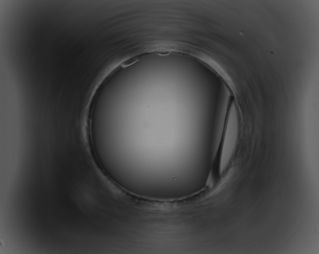 X0000099990901200806061542