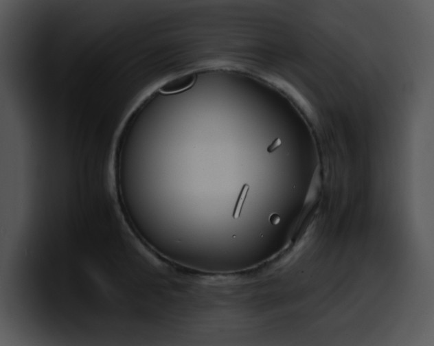 X0000099990902200806061542