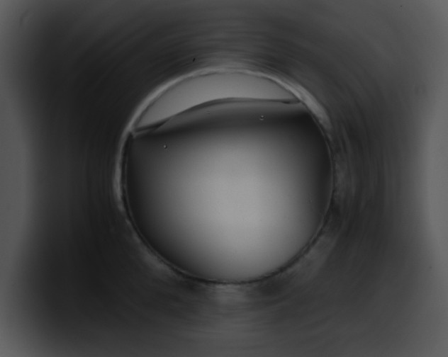 X0000099990904200806061542